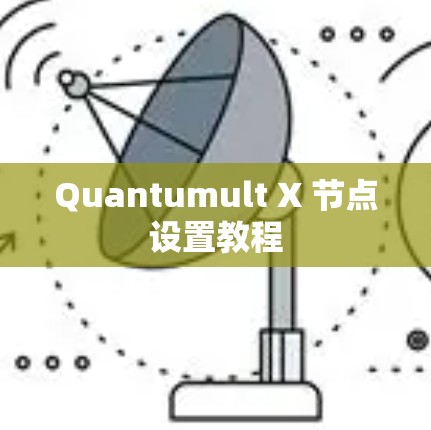 Quantumult X 节点设置教程
