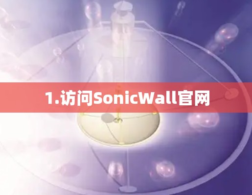 1.访问SonicWall官网 1.访问SonicWall官网