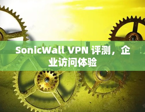 SonicWall VPN 评测，企业访问体验
