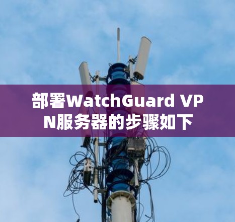 部署WatchGuard VPN服务器的步骤如下