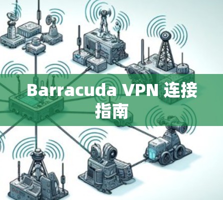 Barracuda VPN 连接指南 Barracuda VPN 连接指南