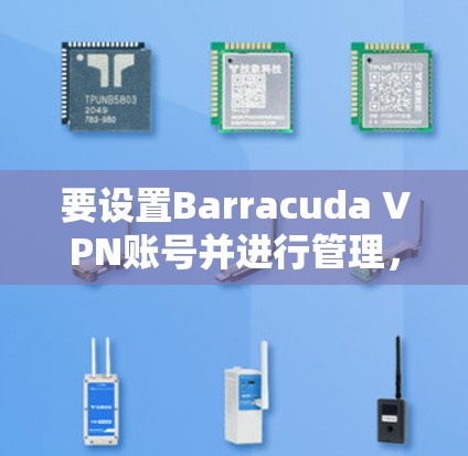 要设置Barracuda VPN账号并进行管理，可以按照以下步骤进行
