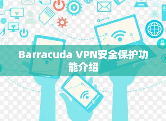 Barracuda VPN安全保护功能介绍