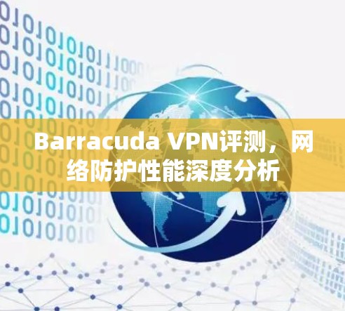 Barracuda VPN评测,网络防护性能深度分析 Barracuda VPN评测,网络防护性能深度分析