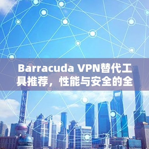 Barracuda VPN替代工具推荐，性能与安全的全面对比