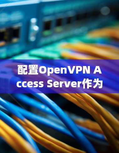 配置OpenVPN Access Server作为服务器搭建的指南如下