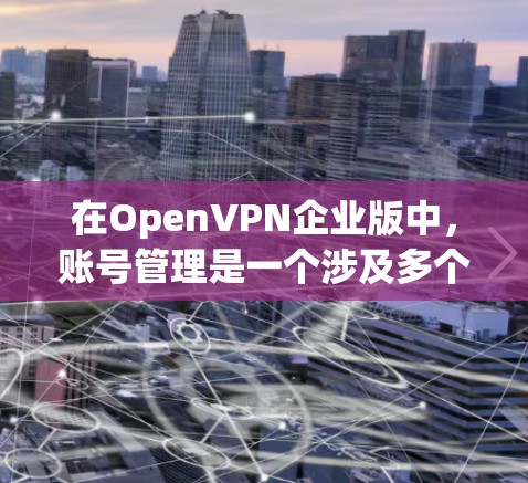 在OpenVPN企业版中，账号管理是一个涉及多个步骤和细节的过程，确保安全性和灵活性。以下是详细的账号管理指南