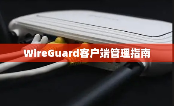 WireGuard客户端管理指南 WireGuard客户端管理指南