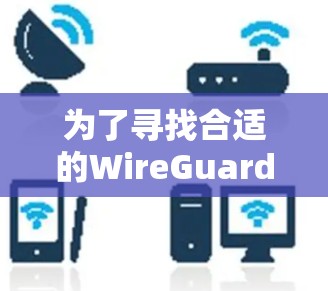 为了寻找合适的WireGuard企业版替代方案，以下是详细的比较分析和总结