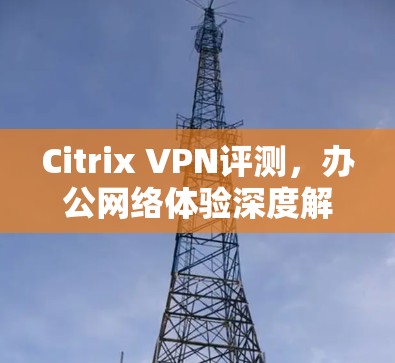 Citrix VPN评测，办公网络体验深度解析