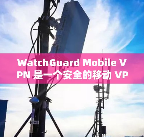 WatchGuard Mobile VPN 是一个安全的移动 VPN 解决方案,帮助用户在公共网络上安全地访问公司资源。以下是下载和安装教程 WatchGuard Mobile VPN 是一个安全的移动 VPN 解决方案,帮助用户在公共网络上安全地访问公司资源。以下是下载和安装教程