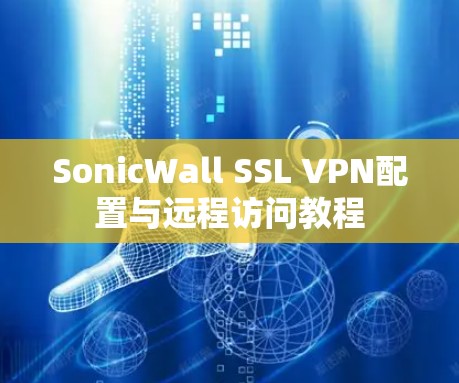 SonicWall SSL VPN配置与远程访问教程 SonicWall SSL VPN配置与远程访问教程
