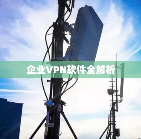 企业VPN软件全解析 企业VPN软件全解析