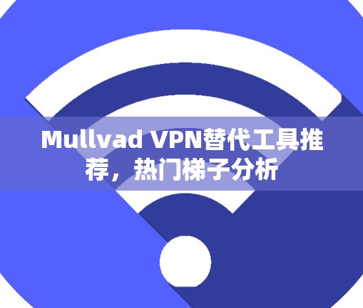 Mullvad VPN替代工具推荐，热门梯子分析