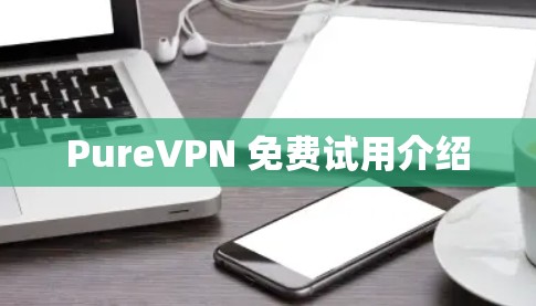 PureVPN 免费试用介绍