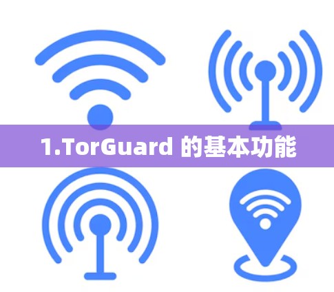 1.TorGuard 的基本功能