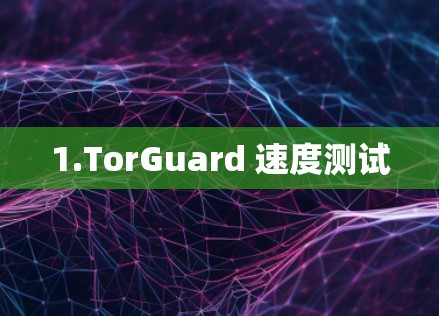 1.TorGuard 速度测试
