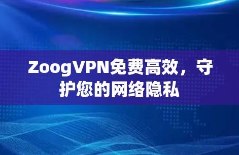 ZoogVPN免费高效，守护您的网络隐私