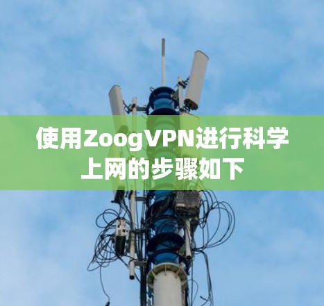 使用ZoogVPN进行科学上网的步骤如下