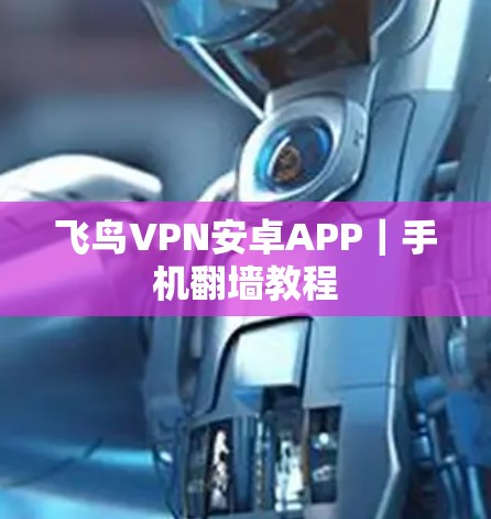 飞鸟VPN安卓APP｜手机翻墙教程
