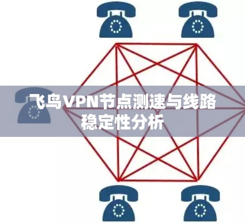 飞鸟VPN节点测速与线路稳定性分析