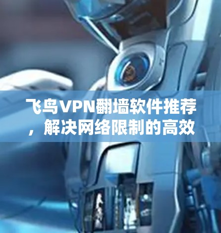 飞鸟VPN翻墙软件推荐，解决网络限制的高效解决方案