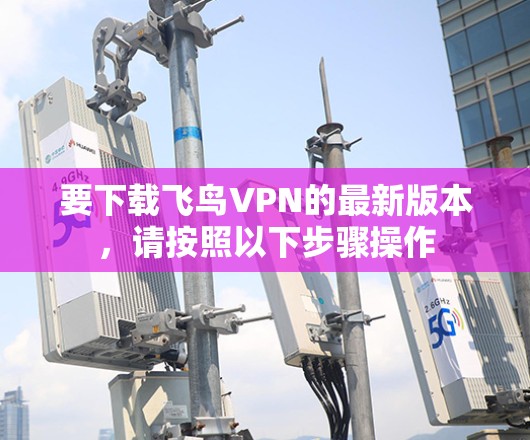 要下载飞鸟VPN的最新版本,请按照以下步骤操作 要下载飞鸟VPN的最新版本,请按照以下步骤操作