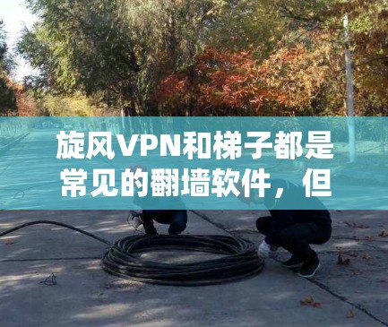 旋风VPN和梯子都是常见的翻墙软件,但它们在功能、性能和使用体验上有所不同。以下是对这两款软件的简要体验评测,帮助你更好地了解它们的特点和适用场景 旋风VPN和梯子都是常见的翻墙软件,但它们在功能、性能和使用体验上有所不同。以下是对这两款软件的简要体验评测,帮助你更好地了解它们的特点和适用场景