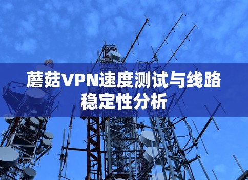 蘑菇VPN速度测试与线路稳定性分析 蘑菇VPN速度测试与线路稳定性分析