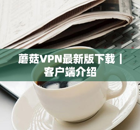 蘑菇VPN最新版下载|客户端介绍 蘑菇VPN最新版下载|客户端介绍