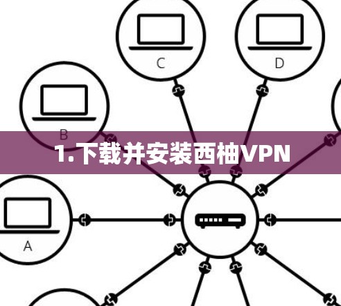 1.下载并安装西柚VPN