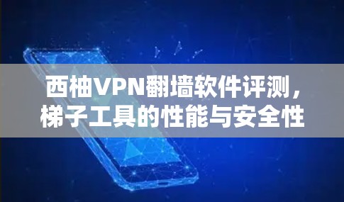 西柚VPN翻墙软件评测，梯子工具的性能与安全性分析