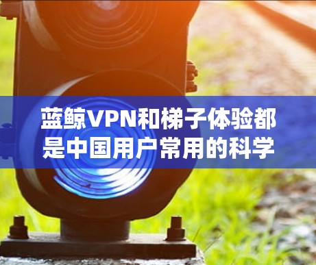 蓝鲸VPN和梯子体验都是中国用户常用的科学上网工具，用于绕过网络限制访问互联网。以下是对这两者的一些分析和体验总结