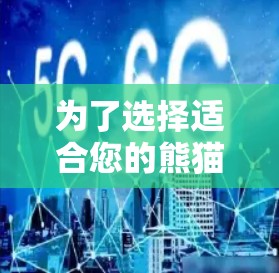 为了选择适合您的熊猫VPN机场节点，特别是高速和稳定的服务，以下是一些建议和步骤