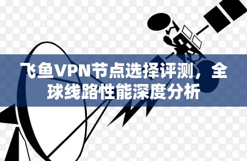 飞鱼VPN节点选择评测，全球线路性能深度分析