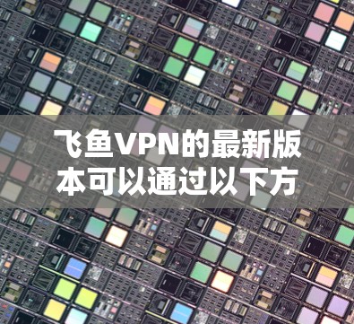 飞鱼VPN的最新版本可以通过以下方式获取