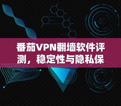 番茄VPN翻墙软件评测,稳定性与隐私保护的双重保障 番茄VPN翻墙软件评测,稳定性与隐私保护的双重保障