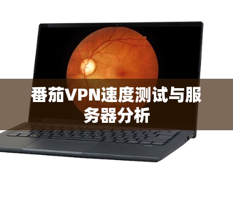 番茄VPN速度测试与服务器分析