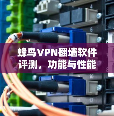蜂鸟VPN翻墙软件评测,功能与性能深度解析 蜂鸟VPN翻墙软件评测,功能与性能深度解析
