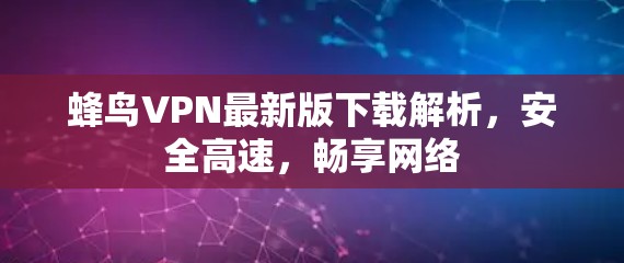 蜂鸟VPN最新版下载解析，安全高速，畅享网络