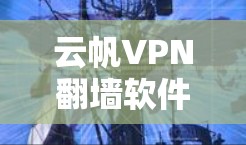 云帆VPN翻墙软件评测,高效、安全、值得尝试 云帆VPN翻墙软件评测,高效、安全、值得尝试