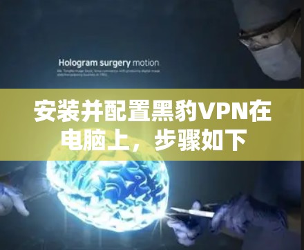 安装并配置黑豹VPN在电脑上，步骤如下