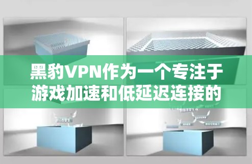 黑豹VPN作为一个专注于游戏加速和低延迟连接的服务，通过多种技术手段帮助用户优化游戏体验。以下是对黑豹VPN的详细分析和总结