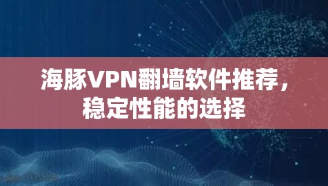 海豚VPN翻墙软件推荐，稳定性能的选择