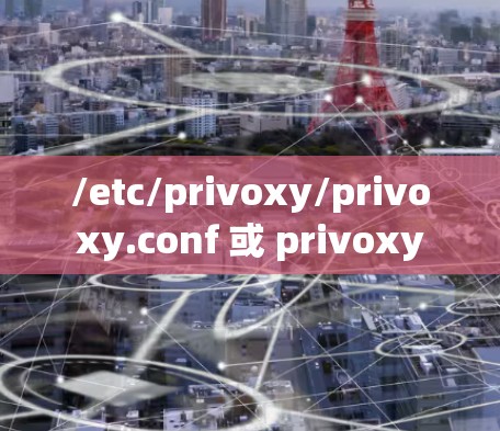 /etc/privoxy/privoxy.conf 或 privoxy /etc/privoxy/privoxy.conf 或 privoxy