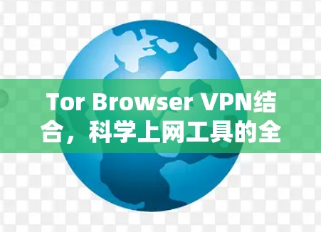 Tor Browser VPN结合,科学上网工具的全新解析 Tor Browser VPN结合,科学上网工具的全新解析