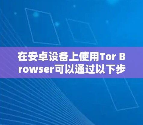 在安卓设备上使用Tor Browser可以通过以下步骤进行操作