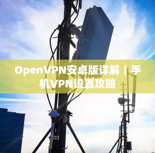 OpenVPN安卓版详解｜手机VPN设置攻略