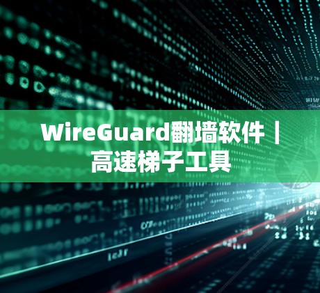 WireGuard翻墙软件|高速梯子工具 WireGuard翻墙软件|高速梯子工具