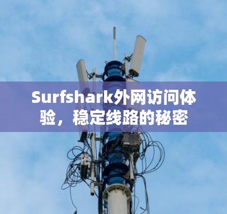 Surfshark外网访问体验，稳定线路的秘密